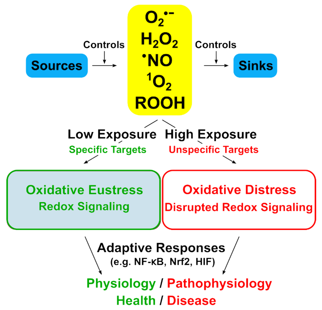 Hormetic eustress vs distress mechanism diagram